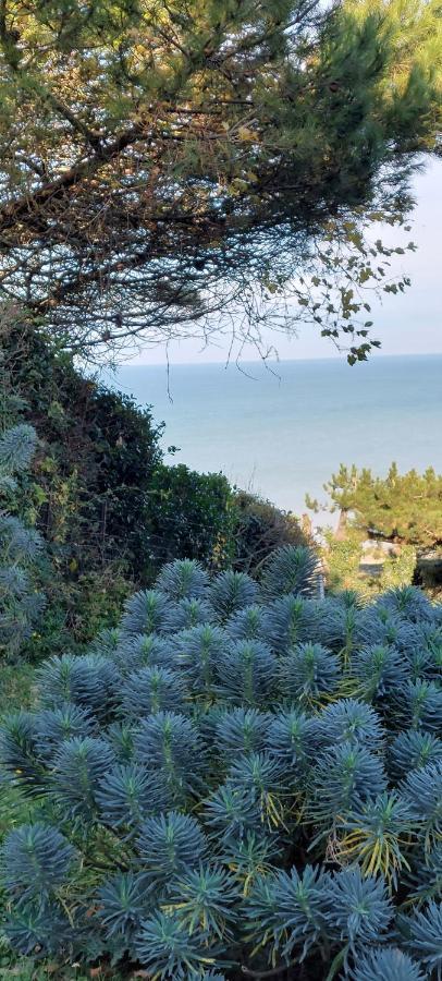 Le Cise Eau A Bois Apartment Le Bois de Cise Luaran gambar